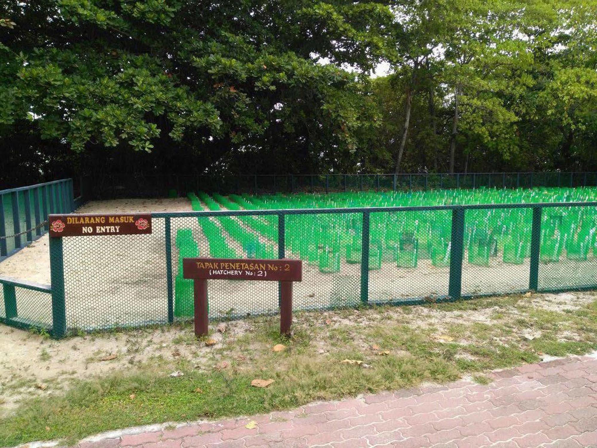 Selingan Turtle Island Hotel Sandakan Eksteriør billede