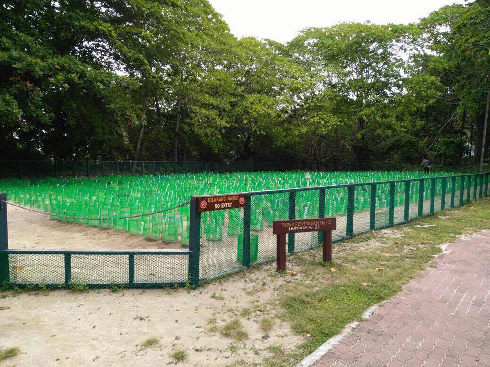 Selingan Turtle Island Hotel Sandakan Eksteriør billede