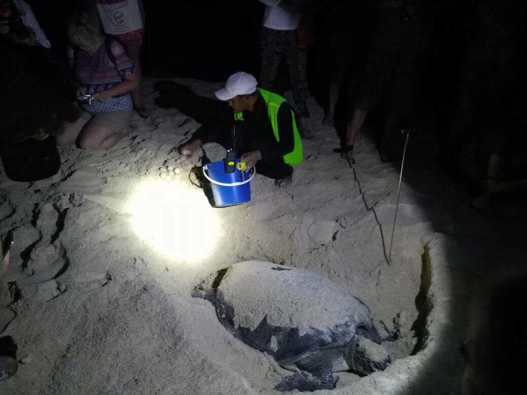 Selingan Turtle Island Hotel Sandakan Eksteriør billede