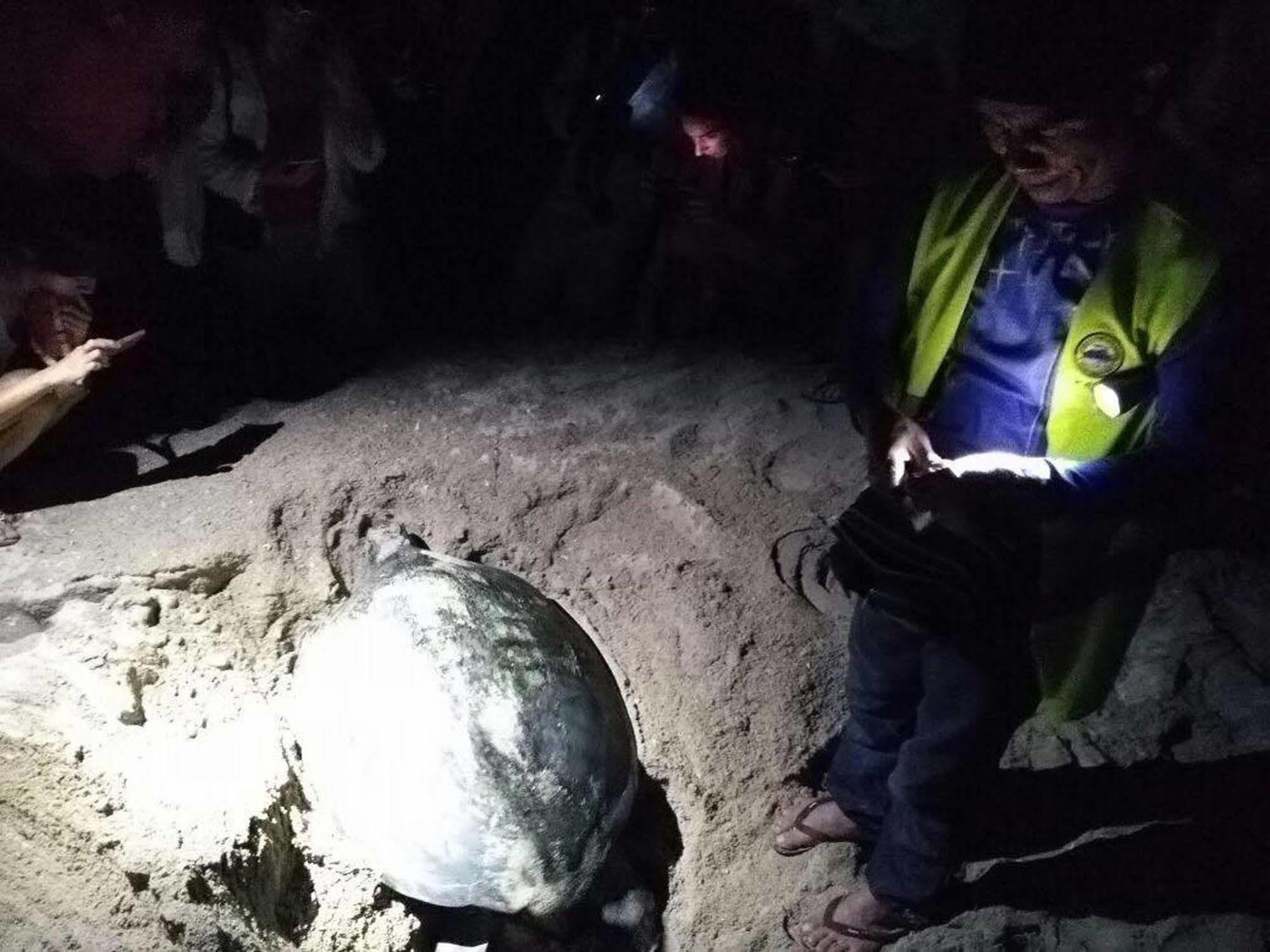 Selingan Turtle Island Hotel Sandakan Eksteriør billede