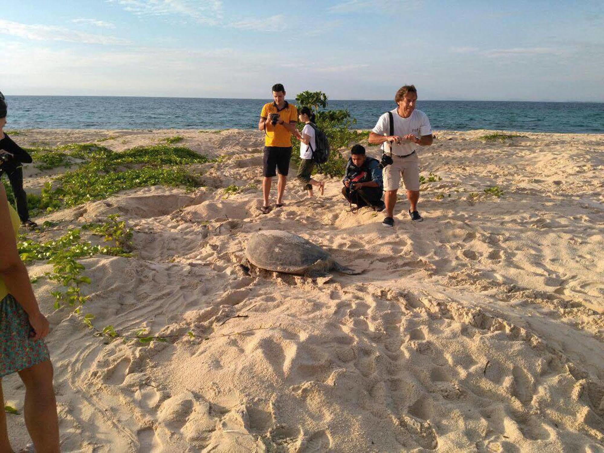 Selingan Turtle Island Hotel Sandakan Eksteriør billede